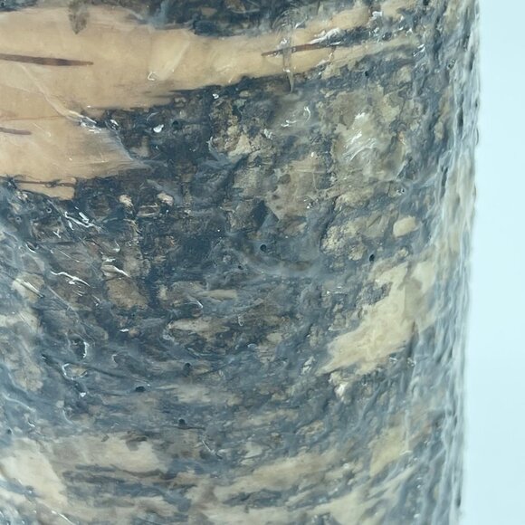 Large Candle Brown Tan Tree Trunk - Picture 4 of 11